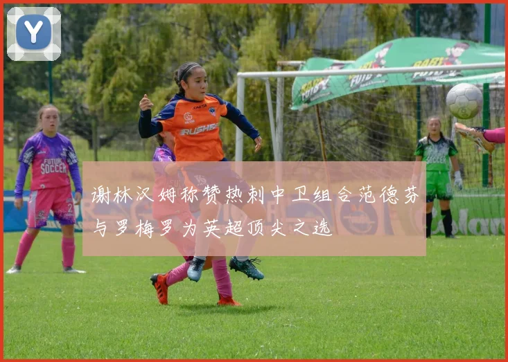 谢林汉姆称赞热刺中卫组合范德芬与罗梅罗为英超顶尖之选